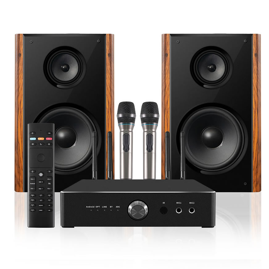 Altavoz Profesional de Karaoke Doméstico 300W Alta Potencia | iHomeLife-HLQ Audio HiFi para KTV Casa, Cine en Casa y Pequeñas Actuaciones