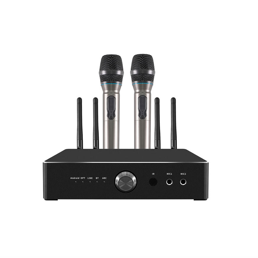 Karaoke amplifier