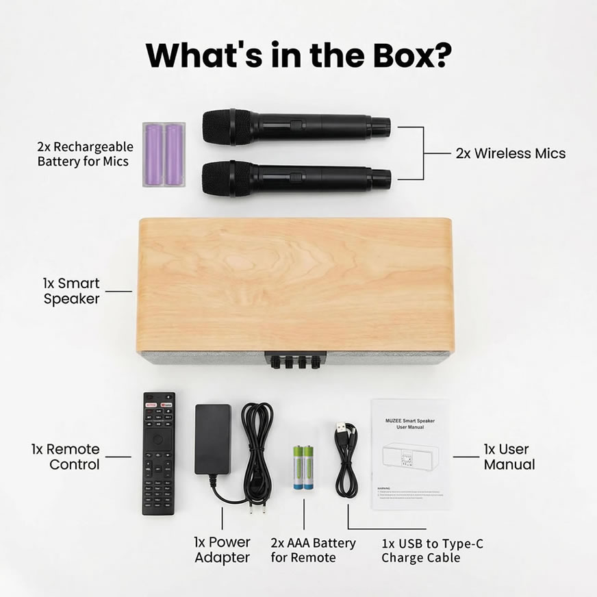 MUZEE M10 All-in-One Home Theater & Karaoke System